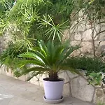 Desa Petric חוואר