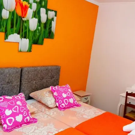 Desa Petric Appartement