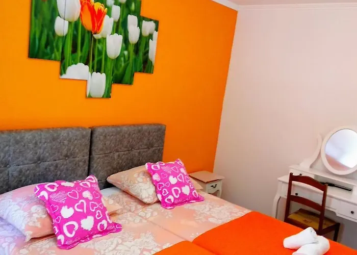 Desa Petric Апартаменти